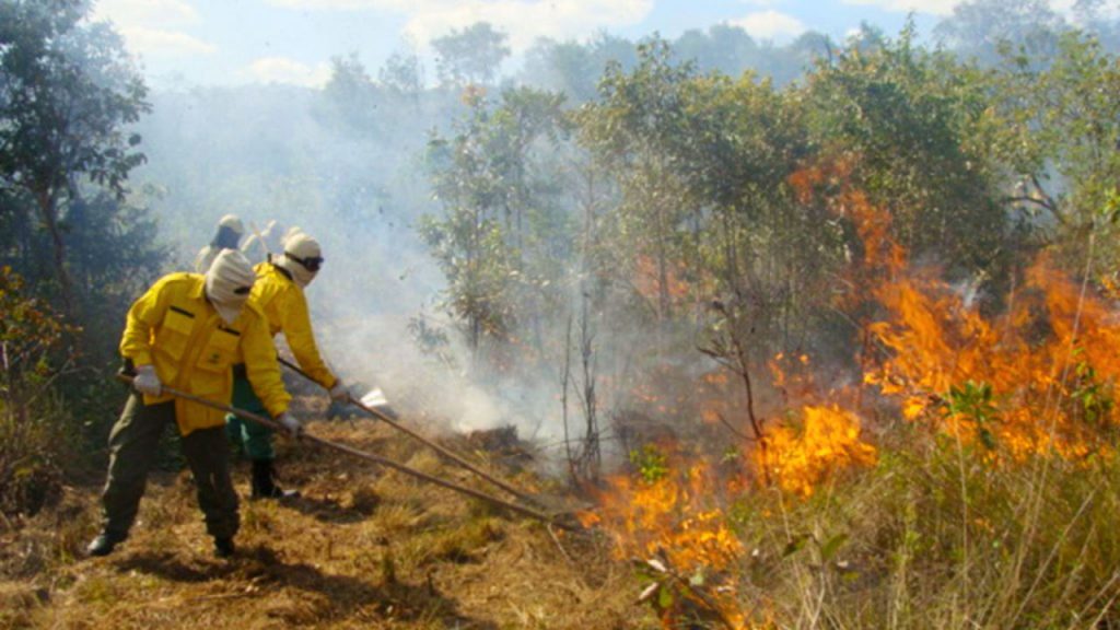 curso-brigada-incendio-02